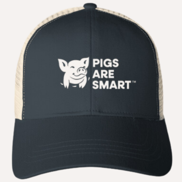 Navy and cream Pigs Are Smart trucker hat with white pig logo and bold text on front panel